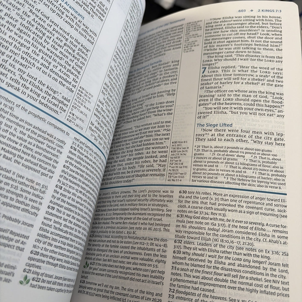 NIV Study Bible - Navy Blue / Tan Brown LeatherSoft No Box