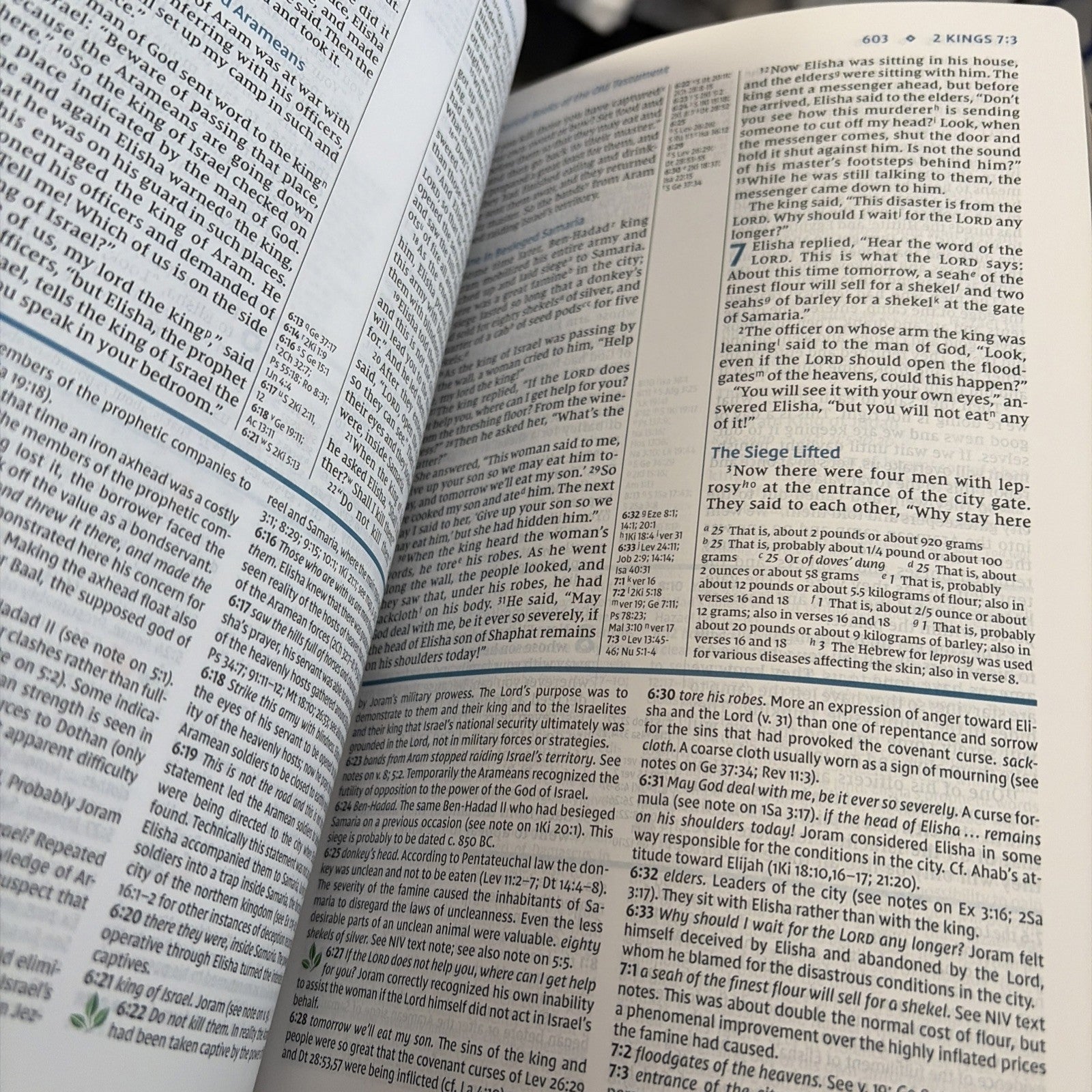NIV Study Bible - Navy Blue / Tan Brown LeatherSoft No Box