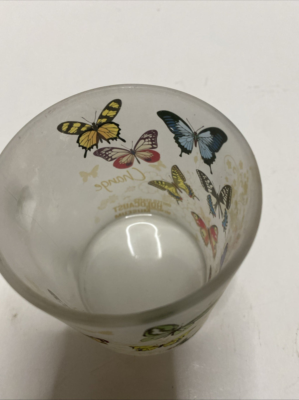 United States Holocaust Memorial Museum Washington DC Frosted Mug Butterflies