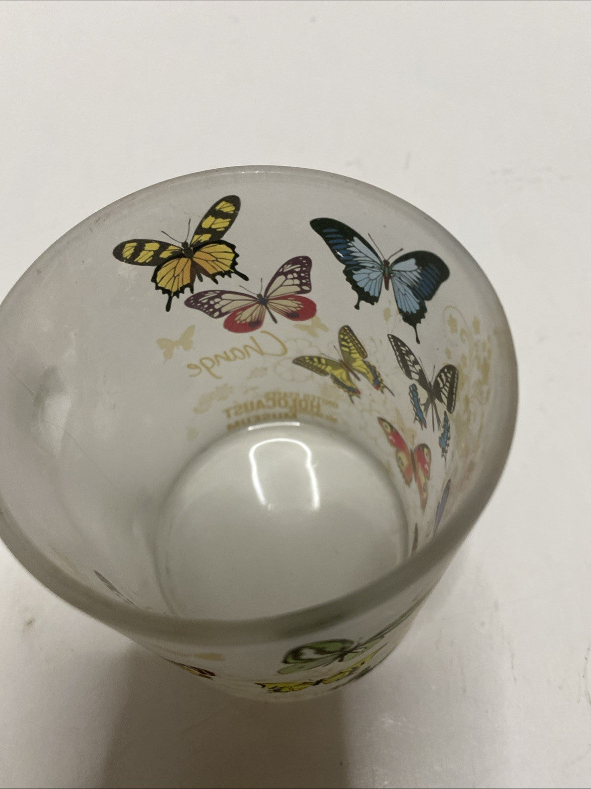 United States Holocaust Memorial Museum Washington DC Frosted Mug Butterflies
