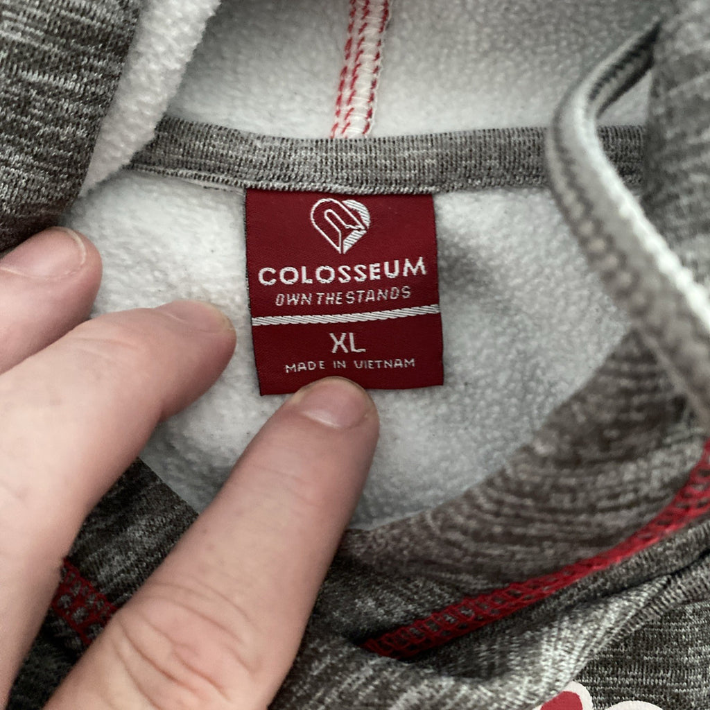 Colosseum  Women's  Size XL Wisconsin Badgers Hoodie Gray Hooded Sweatshirt