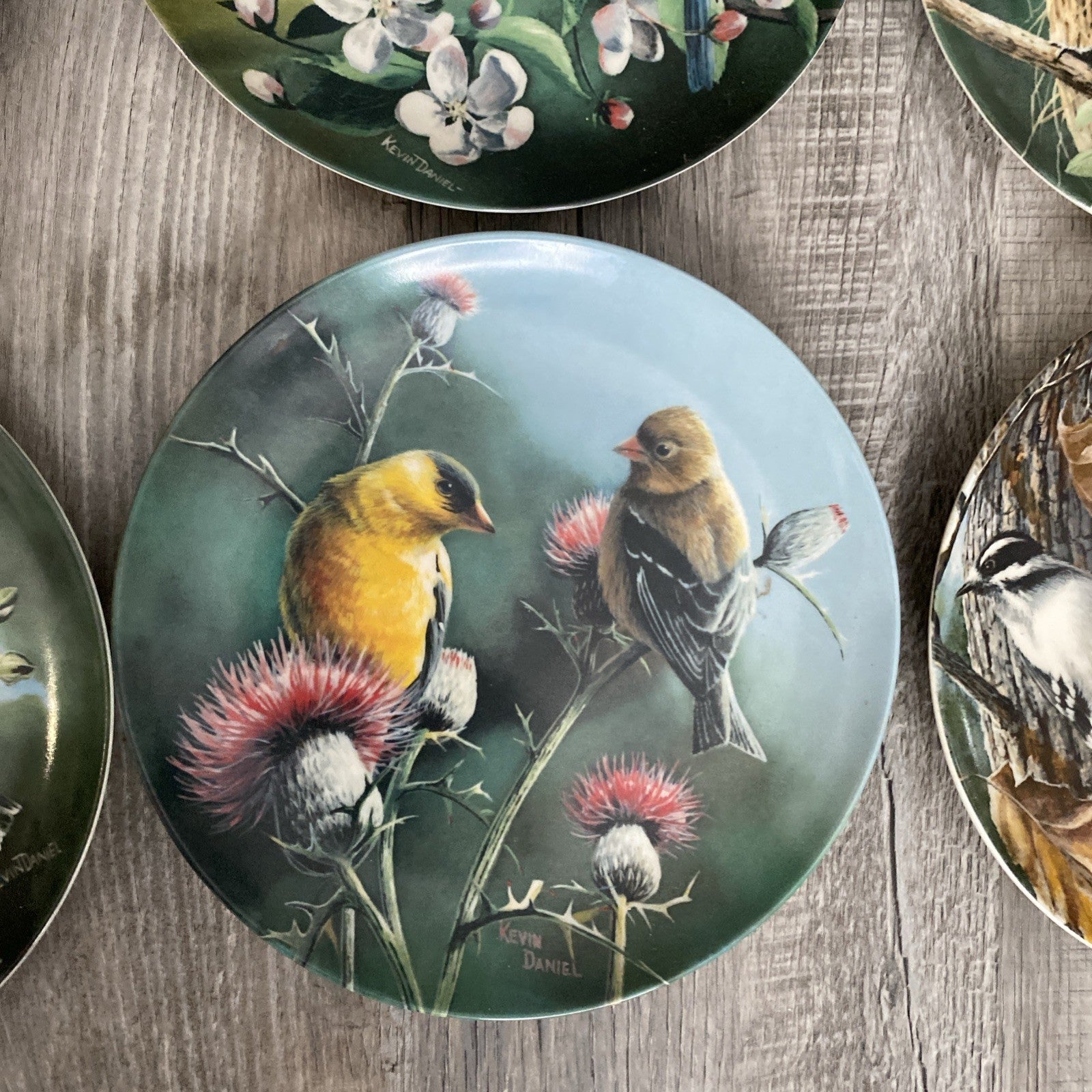 Set Of 9 Knowles Encyclopedia Britannica Birds Of Your Garden Collection Plates