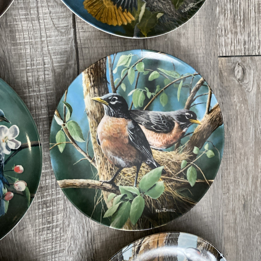 Set Of 9 Knowles Encyclopedia Britannica Birds Of Your Garden Collection Plates