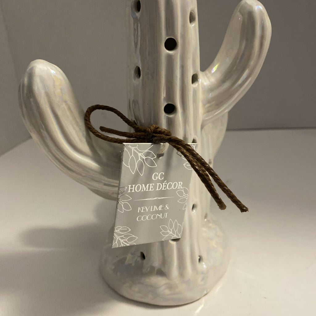 Cactus with scent satchel. Desktop White Cactus Diffuser