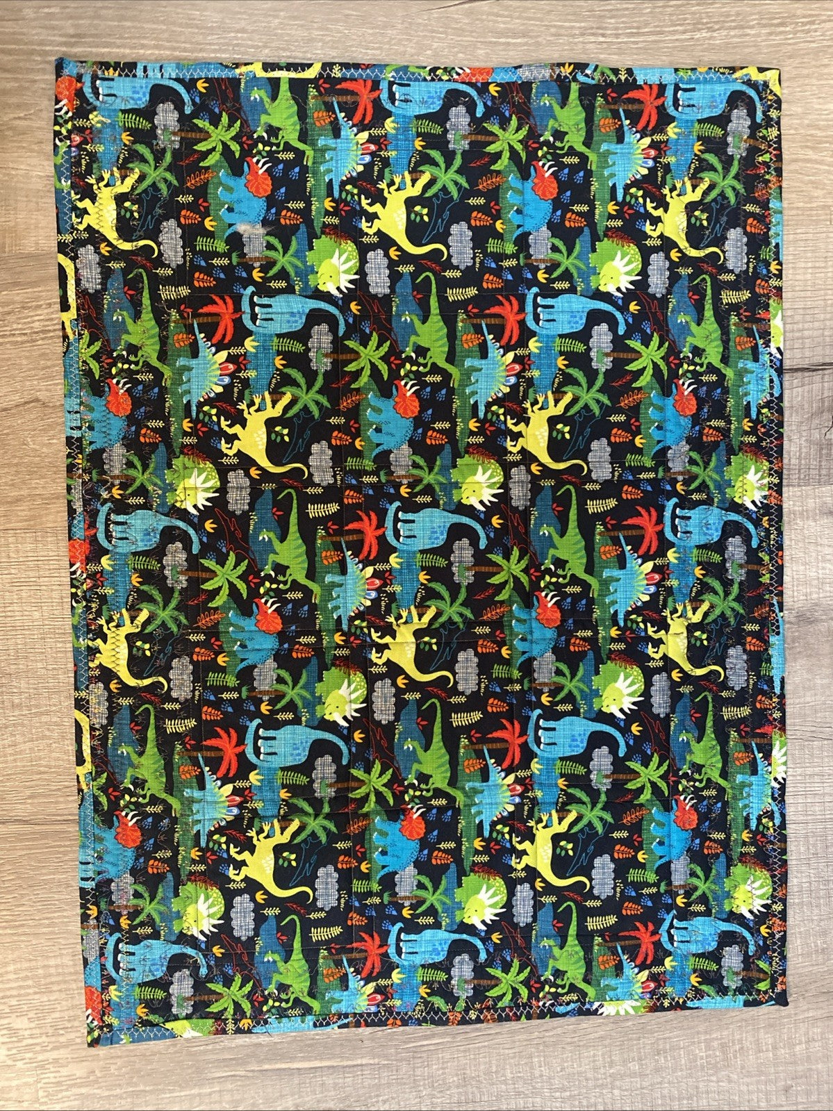 Handmade Quilted Table Topper 19.5 X 26 Blue Red Green Purple With Dinosaurs