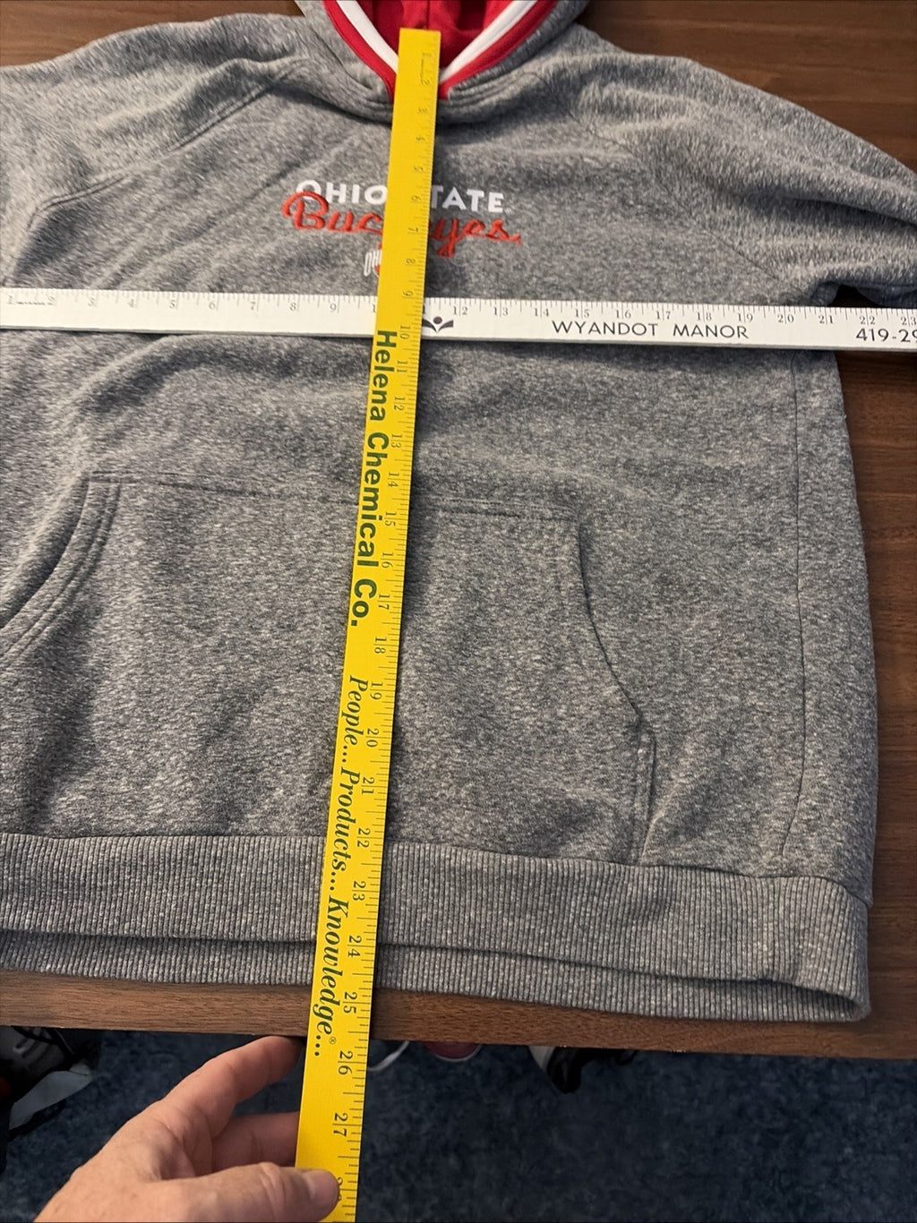 Champion Large Adult Ohio State University Buckeye Hoodie Long Sleeve Gray