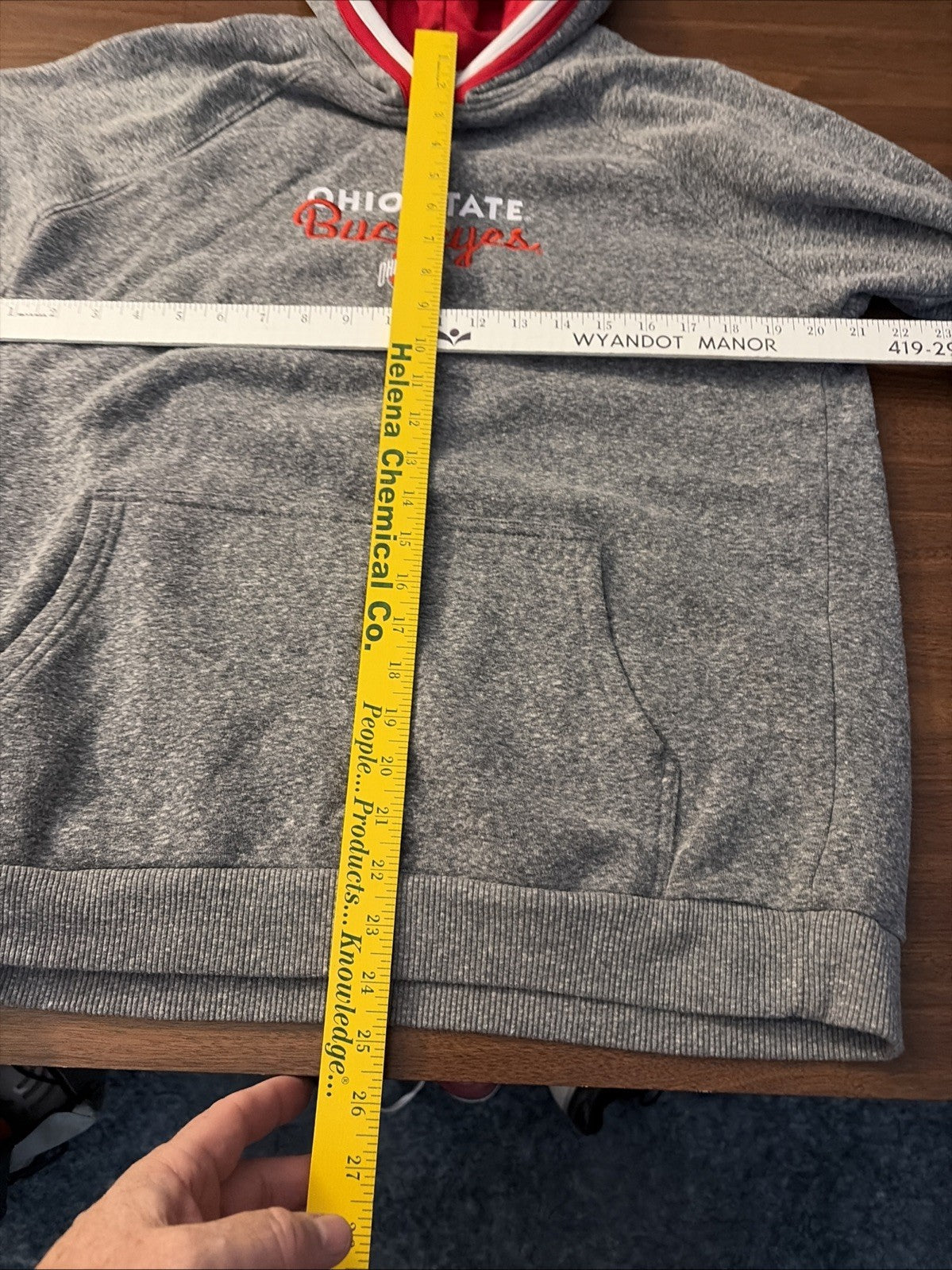 Champion Large Adult Ohio State University Buckeye Hoodie Long Sleeve Gray