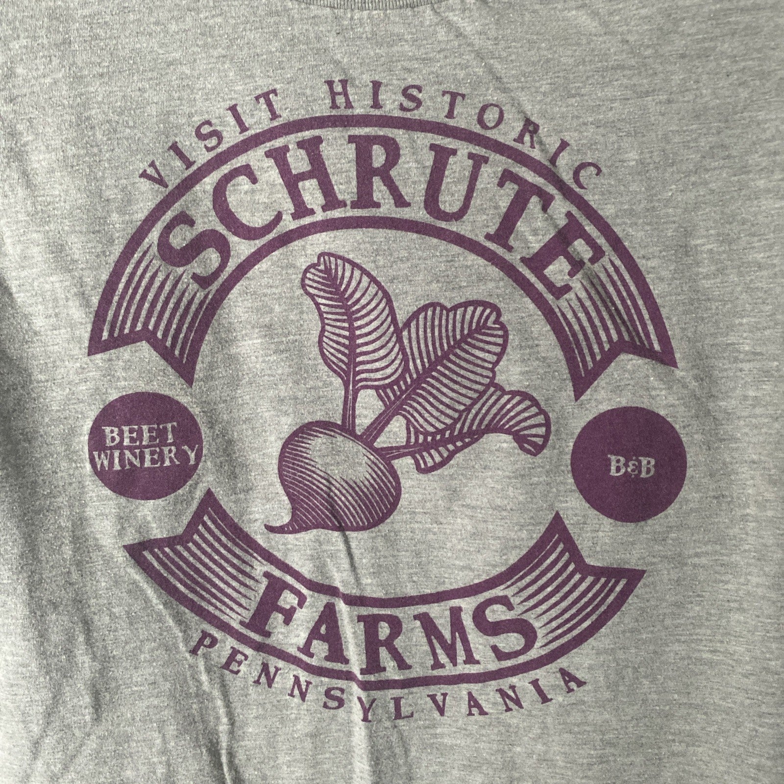 The Office TV Show Graphic T-Shirt Schrute Farms Gray Small S Beet Winery,