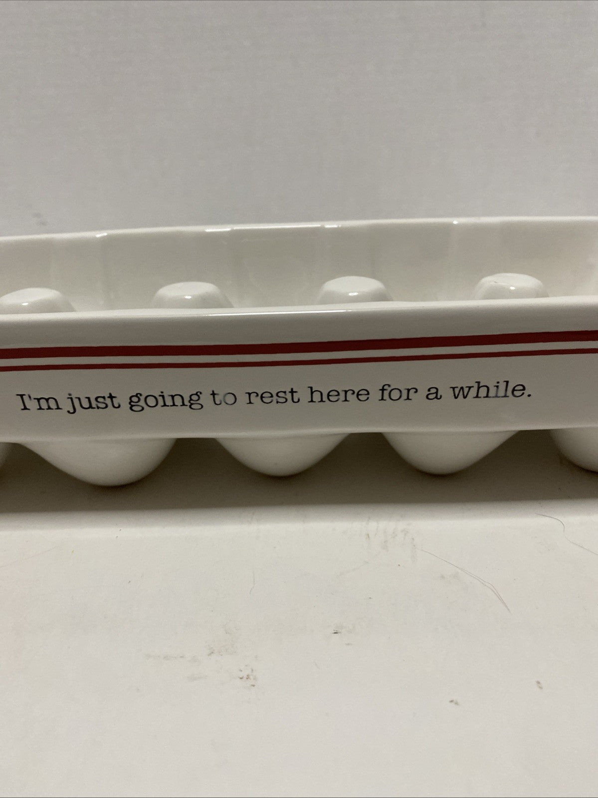 White Ceramic Egg Carton; Country Farmhouse Kitchen Decor Rustic Holds 10 Eggs