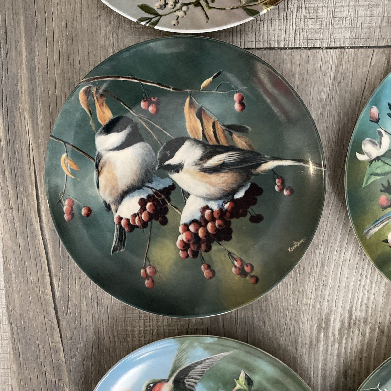 Set Of 9 Knowles Encyclopedia Britannica Birds Of Your Garden Collection Plates