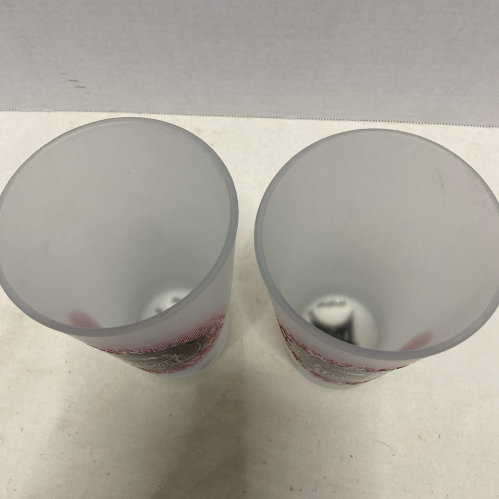 UFC Tapout Skull Frosted Highball Glass Set Of 2